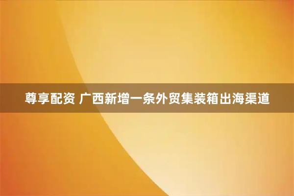 尊享配资 广西新增一条外贸集装箱出海渠道