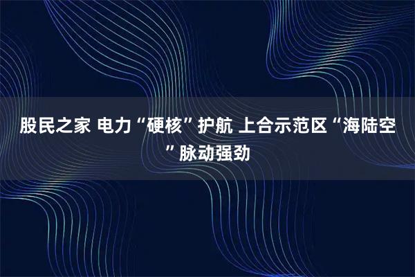 股民之家 电力“硬核”护航 上合示范区“海陆空”脉动强劲