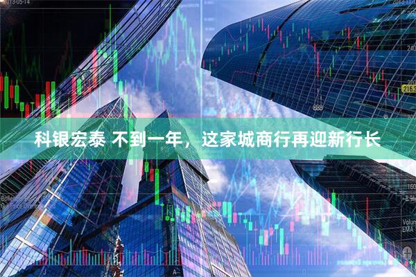 科银宏泰 不到一年，这家城商行再迎新行长