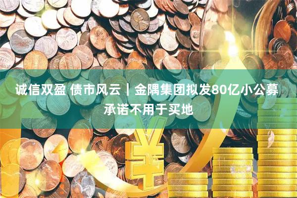 诚信双盈 债市风云｜金隅集团拟发80亿小公募 承诺不用于买地