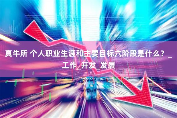 真牛所 个人职业生涯和主要目标六阶段是什么？_工作_开发_发展